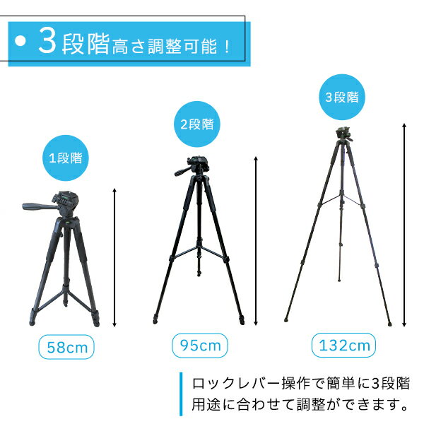 ���� �ӥǥ� ����� ����� ���ޥ� 170cm Ĺ�� ���� ����ѥ��� �⤤������ ������� �ӥǥ������ �ǥ����륫��� �ǥ����� ���ޥ��� ���� ���� ����̵��