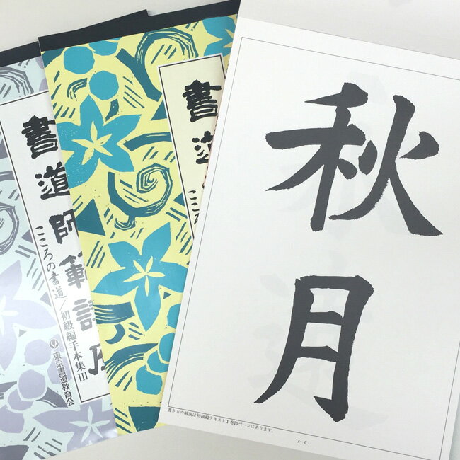 書道師範講座 特別版 ( 初級＋中級 ）お得なセット【通信講座】【東京書道教育会】