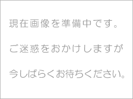 書道用品 すずり 硯 四五平本石【東京書道教育会】