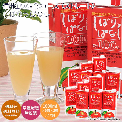 信州産りんごジュース しぼりっぱなし 紙パック(1,000ml×6個×2箱 計12個) 送料無料 送料込 歳暮 冬ギフト ギフト 贈答 贈り物 プレゼント お取...