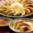 静岡B級グルメ 浜松餃子 送料無料 送料込 中元 歳暮 ギフト 夏ギフト 冬ギフト お取り寄せ グルメ 産地直送 産直 贈り物 プレゼント A23019