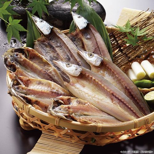 沼津 奥和の干物詰合せ 送料無料 送料込 中元 歳暮 ギフト 夏ギフト 冬ギフト お取り寄せ グルメ 産地直送 産直 贈り物 プレゼント B23002