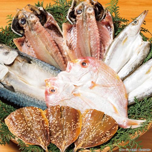 九州海鮮ひもの詰合せ 送料無料 送料込 中元 歳暮 ギフト 夏ギフト 冬ギフト お取り寄せ グルメ 産地直..