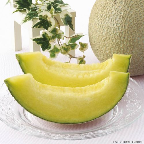 アールスメロン 送料無料 送料込 歳暮 冬ギフト 中元 夏ギフト お取り寄せ グルメ 産地直送 産直 贈り物 プレゼント F23043