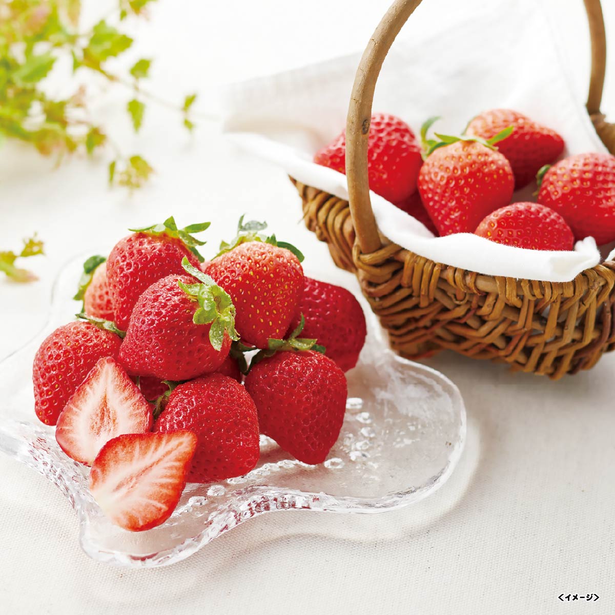 JAふくおか八女博多あまおう350g