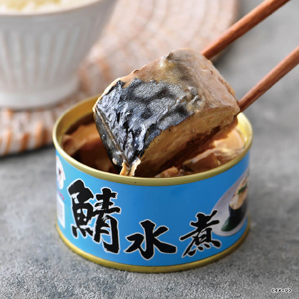 福井缶詰 鯖水煮缶詰セット SAB-MZ6【2025】