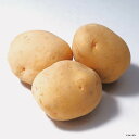 【出荷期間:10月上旬-2月下旬】北海道産きたあかり 0000-034085【2025】