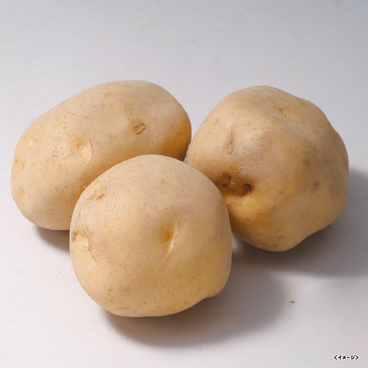 商品画像1