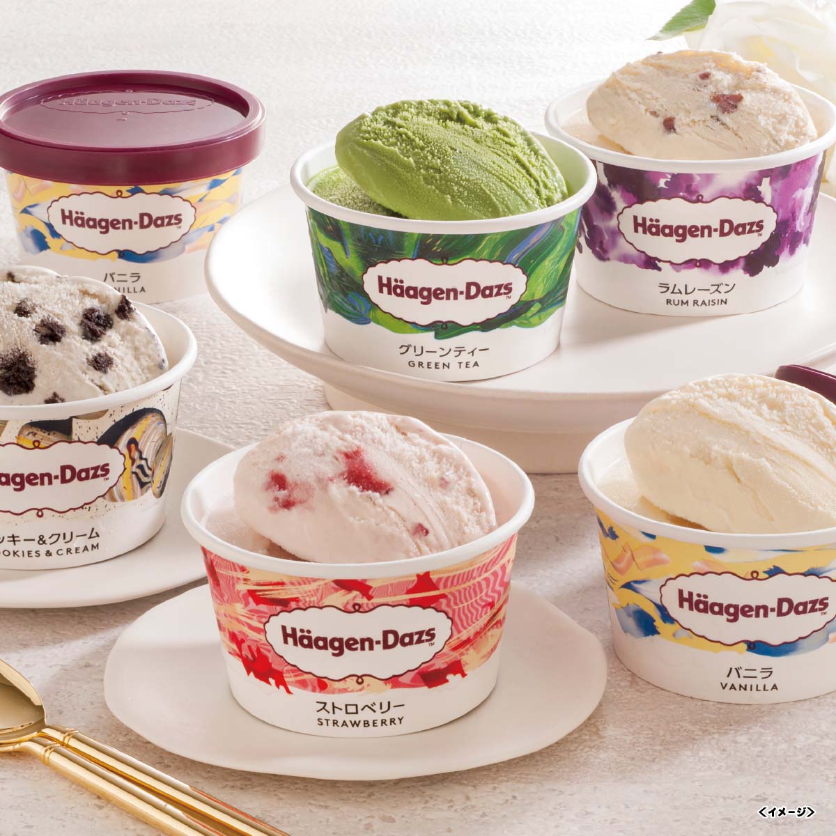 ハーゲンダッツ アソートバラエティ AH-LCB【2025】