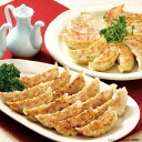 信念手造り餃子_送料込/中元/歳暮/ギフト/夏ギフト/冬ギフト/お取り寄せ/グルメ/産地直送/産直/産地直送/贈り物/プレゼント