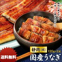 蒲焼き 国産 うなぎ 静岡焼き 2尾セット　静岡「雅」 長焼き　120g×2 鰻_送料込／中元／歳暮／ギフト／夏ギフト／冬ギフト／お取り寄せ／グルメ／産地直送／産直／産地直送／贈り物／プレゼント