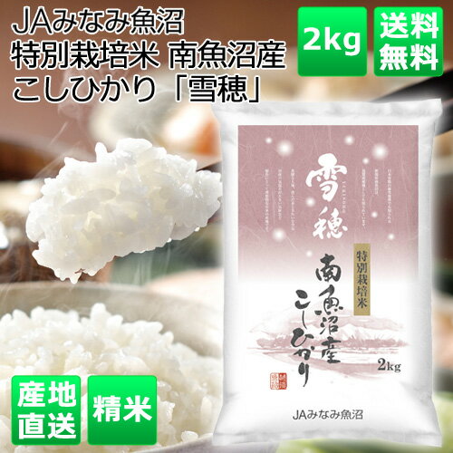 JAみなみ魚沼 直送 令