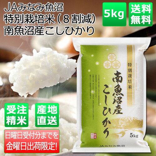 JAみなみ魚沼 直送 令和7年産 特別栽培米（8割減）南魚沼産こしひかり5kg こしひかり コシヒカ ...