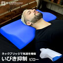 ブルーブラッドの枕は通販やテレビで評判 口コミで臭いの真相は 通販大好き わくわくマーケット ブルーブラッドの枕は通販やテレビで評判 口コミで臭いの真相は 通販大好き わくわくマーケット