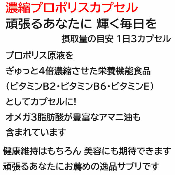 濃縮プロポリスカプセル 蜂の寿 アマニ油 ビタミンE B2 B6配合 サプリ 栄養機能食品 80粒【送料当社負担】 i-healing-10012265 アイヒーリング サンプル画像3