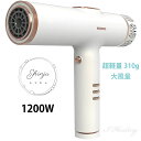 Shinju シンジュ プロ仕様ヘアドライヤー 白蝶 1200W 軽量310g 髪に優しい 大風量 速乾 コンパクト 温度液晶ディスプレイ マイナスイオン 白ドライヤー KR-F03