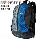 バスケットボール バッグ 大型ジャイアント ケイジャー 壁画グラフィティブルー スポルディング 大容量 46L SPALDING41-010GB 正規品【送料当...