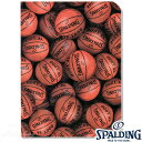 SPALDING NAt@CA4 2 uE{[ oXPbg{[ ObY X|fBO15-007BRy39Az Ki