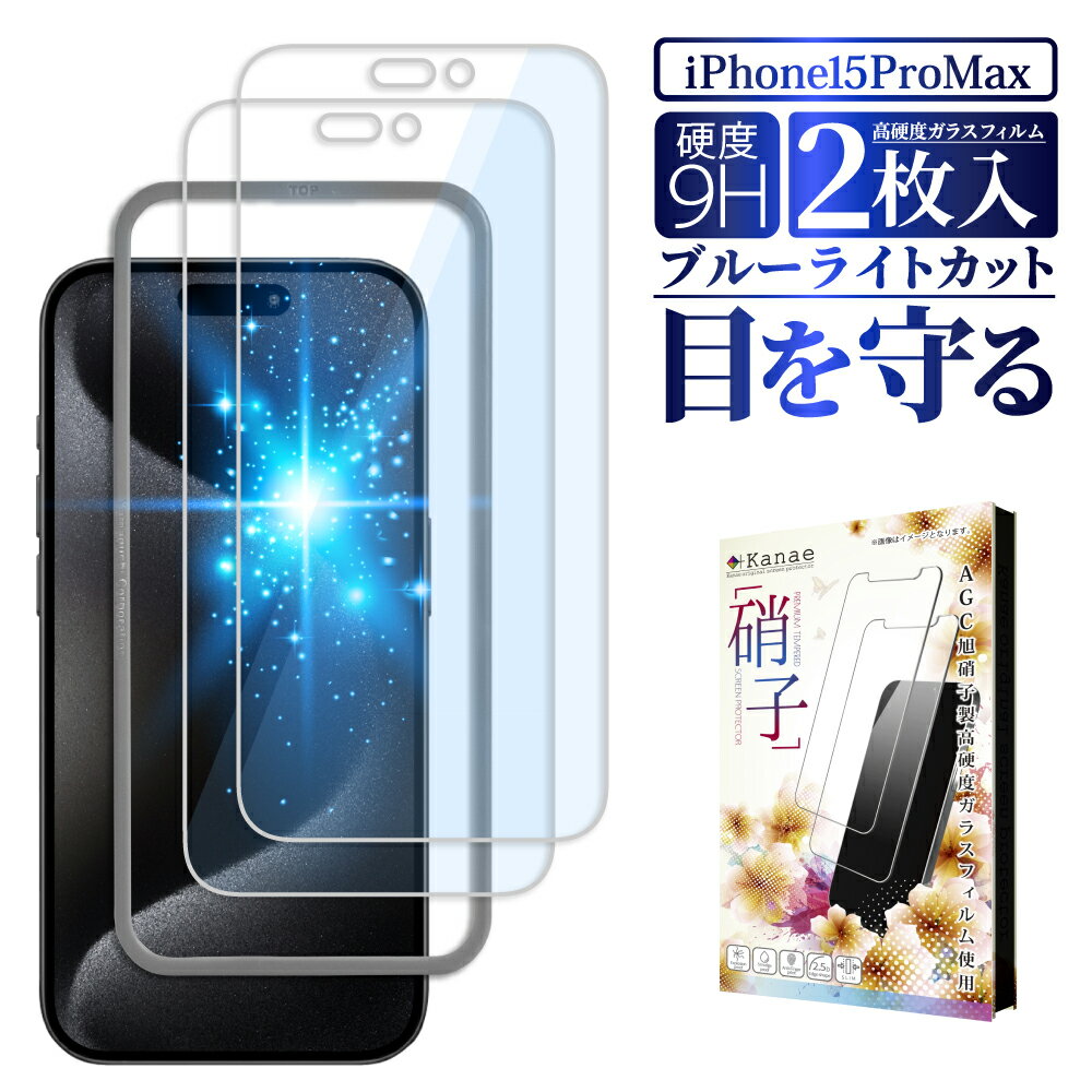 iPhone15 Pro Max ݸե ܤͥ ֥롼饤ȥå ե iphone15promax ̥ե iphone 15Pro Max 饹ե վݸե ݸե kanae ʥ 饹