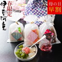 母の日 ギフト ＼ 早割 50円OFFクーポン ／ 春限定 桜あんみつ 3個 特別セット【送料無料】スイーツ 和菓子 詰め合わせ 季節限定 スイーツ 和菓子 伊豆ところてんで作った 寒天 桜スイーツ デザート 季節限定 おとりよせ アンミツ 早割り 桜葉 春あんみつ さくら サクラ