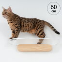 MYZOO マイズー OBLONG 透明キャットステップ 60cm 猫用 キャットステップ キャットウォーク 壁付け 壁掛け クリア アクリル 猫用家具 キャッ...