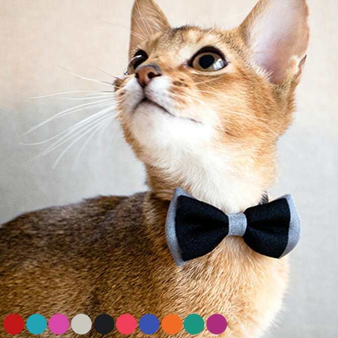 【土日祝も発送】 necono ネコノ 猫の首輪 Luce Ribbon dauble ルーチェ リボン ダブル 猫 首輪 おしゃれ かわいい ギフト 猫用品 ...