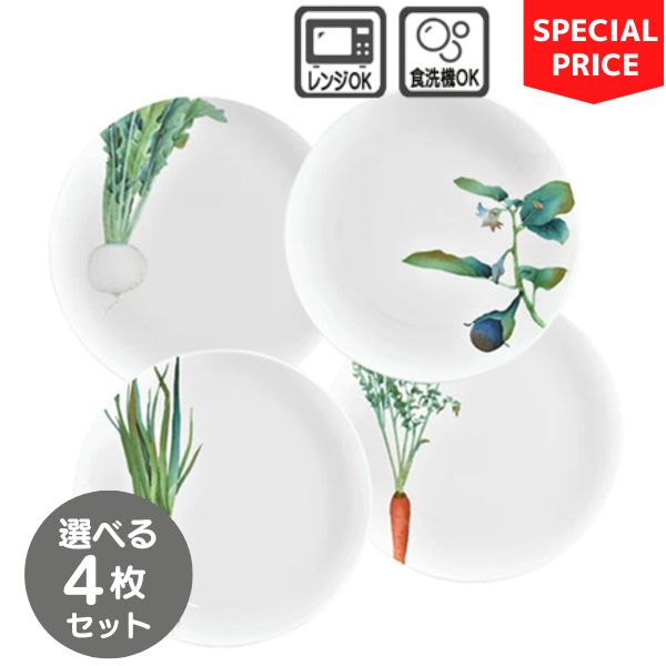 ノリタケ 京香旬彩 24cm クーププレート4枚セット ￥10,120の品【お買い得セット】【SALE・40%off】【KYOUKASYUNSAI】特別価格