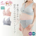 犬印 犬印本舗 INUJIRUSHI マタニティー 産後 授乳ブラ ママのためのハーフトップ マタニティブラジャー ノンワイヤー カシュクールオープン バストサポート M・Lサイズ BR1624 クリスマス