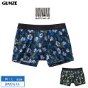 20%OFF GUNZE O[ BODY WILD {fBCh {NT[pc ȍ ԕ Xgb` KȃtBbg OƂ (MELTCYj BWG169A