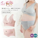 犬印 犬印本舗 INUJIRUSHI マタニティ 産前産後 授乳ブラ&ショーツセット ママと一緒に考えた授乳ママのためのハーフトップ マタニティブラジャー ノンワイヤー M・L・LLサイズ BR1624 SH2466
