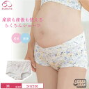 犬印 犬印本舗 INUJIRUSHI 産前・産後使えるらくちんショーツ ローライズ 優しい設計 Mサイズ SH2558