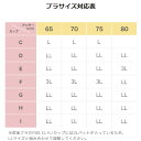 ワコール wacoal マタニティ ワコールマタニティ 産後 ブラジャー用パッド LL・3Lサイズ MKR526 2