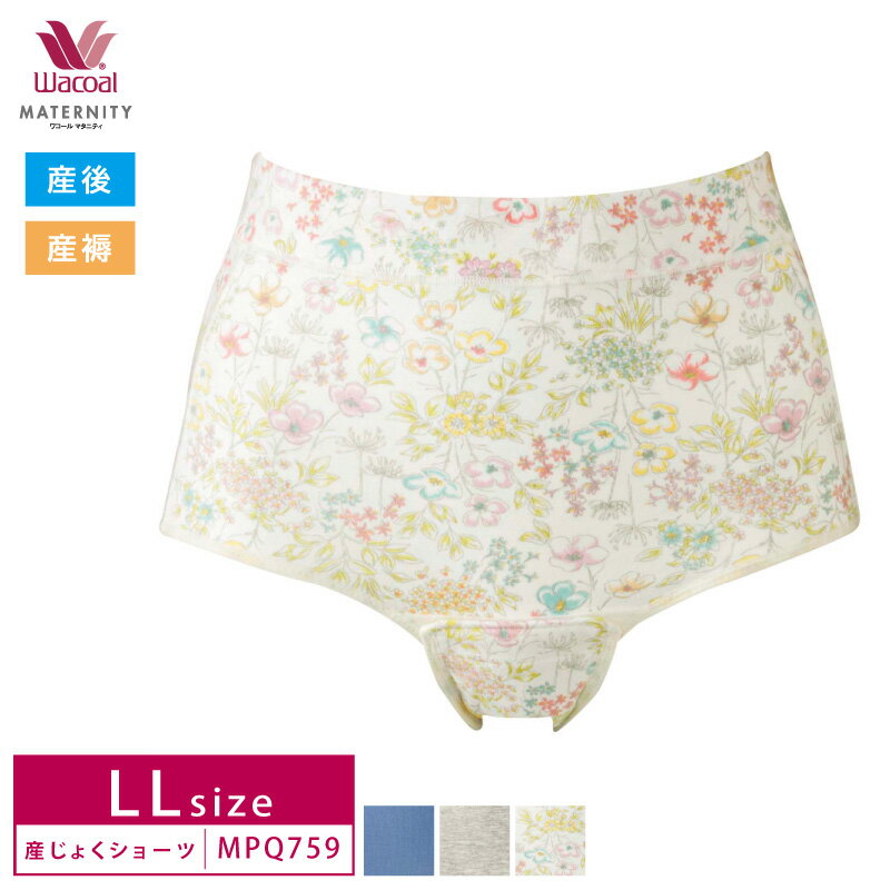 25%OFF 㤤ʪޥ饽 拾 wacoal ޥ˥ƥ 拾ޥ˥ƥ 礯  лľ夫Ȥ뻺礯硼 LL MPQ759 3mY