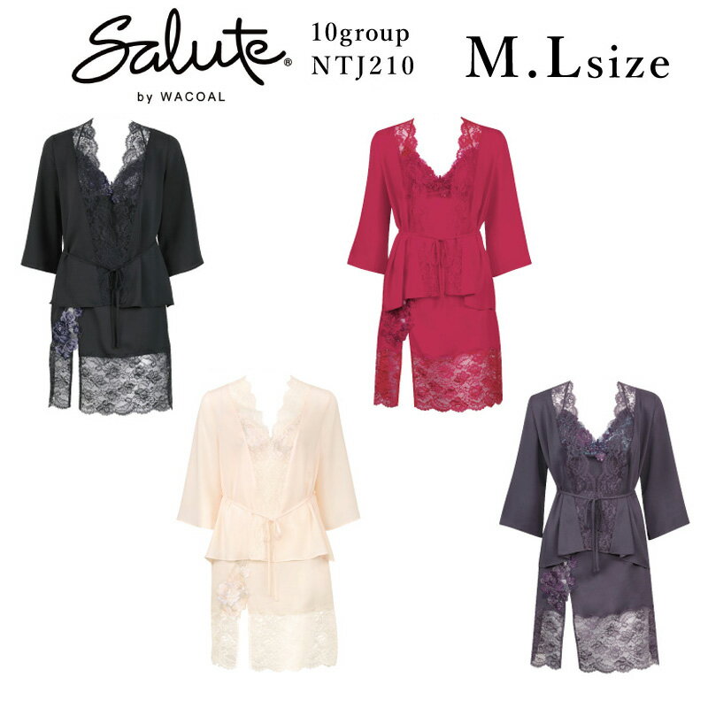 31%OFF 拾 Wacoal 롼 salute 10롼 󥸥꡼ɥ쥹 ML ( ñ ǥ ) NTJ210