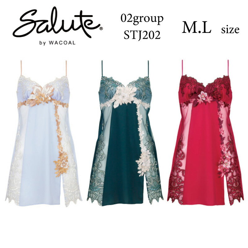 28%OFF 拾 Wacoal 롼 salute 02롼 02G BTJ402 ڥ å 󥸥꡼  ñ ǥ  ML STJ202