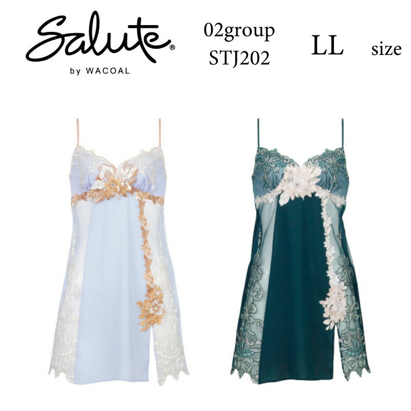 28%OFF 拾 Wacoal 롼 salute 02롼 02G BTJ402 ڥ å 󥸥꡼  ñ ǥ  LL STJ202