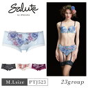 【9/20限定!抽選で2人に1人最大100%ポイントバック!要エントリー】 25%OFF ワコール Wacoal サルート salute 23グループ 23G ...