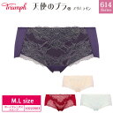 28%OFF トリンプ Triumph 天使のブラ スリムライン TR614シリーズ ボーイズレングス ボーイレングスショーツ(M・Lサイズ) 10222003...