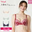 16%OFF Triumph トリンプ 天使のブラ スリムライン TR614 シリーズ 3/4カップブラジャー (B・Cカップ)菊地凛子さん着用 10222006 5,490円