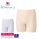 10%OFF R[ wacoal 炭Np[gi[ {gXiЂj ΂pc Ci[ ͂ݏ[  NȂ͂ { 100% f MELTCY DPL345