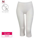 20%OFF R[ Wacoal XS ₳ {gX Ђ (LLTCY) ڐG⊴ ȍ HLE544 3sY