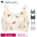 20 OFF ワコール Wacoal ナイトアップブラ Night Up Bra おやすみブラ 夜用ブラ ナイトブラ バストケア 下垂防止 ノンワイヤーブラ (3Lサイズ) BRA164 3wY