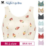 20%OFF 拾 Wacoal ʥȥåץ֥ Night Up Bra 䤹ߥ֥ ѥ֥ ʥȥ֥ Хȥ ɻ Υ磻䡼֥ (ML) BRA164 3wY