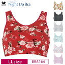 20 OFF ワコール Wacoal ナイトアップブラ Night Up Bra おやすみブラ 夜用ブラ ナイトブラ バストケア 下垂防止 ノンワイヤーブラ (LLサイズ) BRA164 3wY