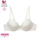 25%OFF ワコール Wacoal ワコールジュニア 3/4カップブラジャー STEP3 (E・Fカップ)CFX341