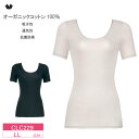 25%OFF Wacoal ワコールニット 半袖 ニットトップ オーガニックコットン100% レディース Uネック 3分袖 (LLサイズ) CLC229(4)