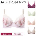 25%OFF ワコール wacoal 小さく見せるブラ レーシィ 着やせ効果 3/4カップ ブラジャー(G・Hカップ) BRB453 glm 3wY