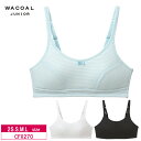 25%OFF ワコール Wacoal ワコールジュニア ジュニアブラ ノンワイヤーかぶりタイプ STEP2 (2S・S・M・Lサイズ)CFX270