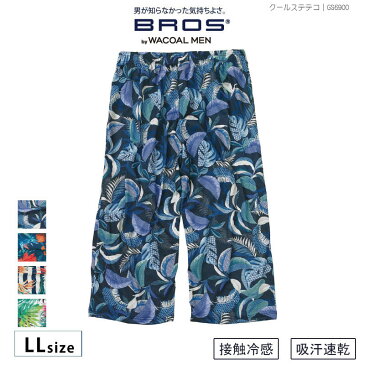 25%OFF ワコール メンズ BROS ブロス クールステテコ ひざ下丈パンツ 前開き 涼しさ設計 吸汗速乾 接触冷感 LLサイズ GS6900