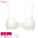 25%OFF ウイング ティーン Wing Teen ブラジャー やわらかカップ ワイヤーブラ ステップ3 STEP3 (C・Dカップ) RB2016 3uY